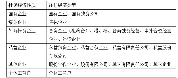 经济性质怎么填